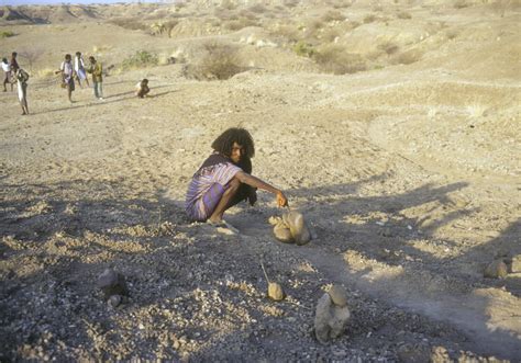 Smallest Homo erectus Cranium in Africa and Diverse Stone Tools Found at Gona, Ethiopia - The ...