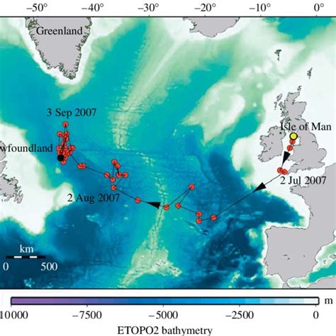 (PDF) Transatlantic migration and deep mid-ocean diving by basking shark