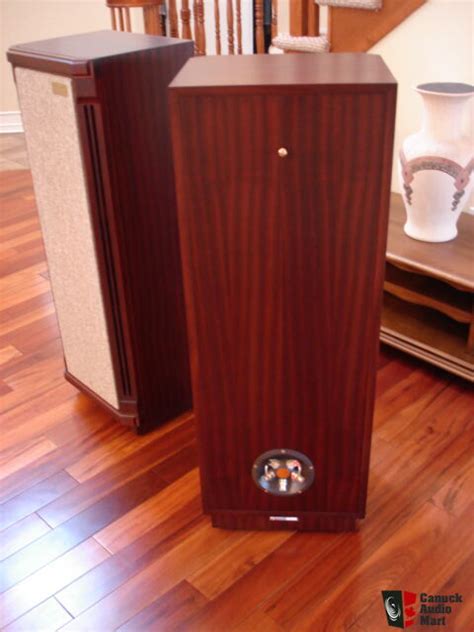 Tannoy Kensington Se Prestige Series Excellent Photo 3318132