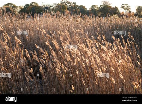 Fall Scenery, Connecticut, USA Stock Photo - Alamy