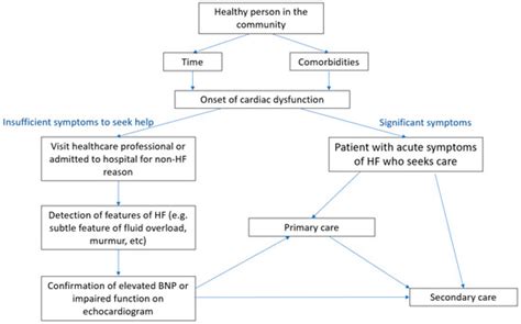 Jcdd Free Full Text A Critical Evaluation Of Patient Pathways And