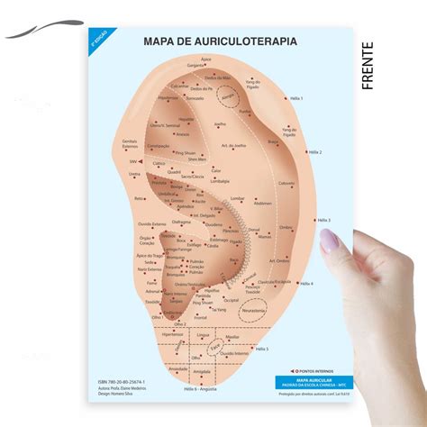 Mapa Acupuntura Auricular Auriculoterapia Chinesa Shopee Brasil