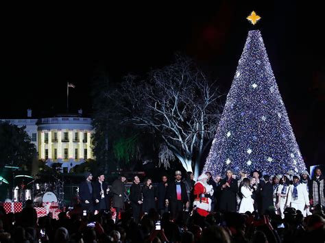 Every Christmas tree worth visiting in the D.C. area - Curbed DC