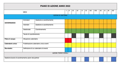 Il Cronoprogramma Delle Azioni Pic