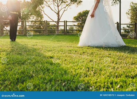 Detail Of A White And Elegant Wedding Dress Stock Image Image Of Lace Pattern 169218573