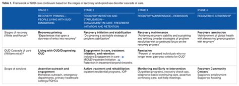 Framework Of Sud Care Continuum Based On The Stages Of Recovery And