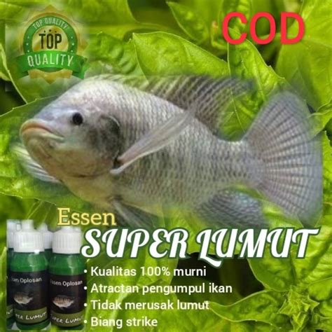 Jual Botol Super Lumut Essen Nila Bandeng Ikan Mas Kualitas Super