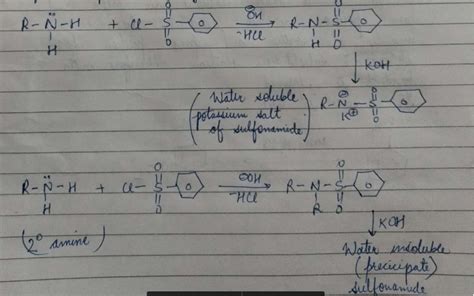 Hinsbergs Reaction Is A Chemical Test To Distinguish Between Aniline