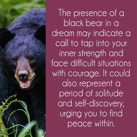 Black Bear Symbolism Unmasked Discover 7 Powerful Insights And