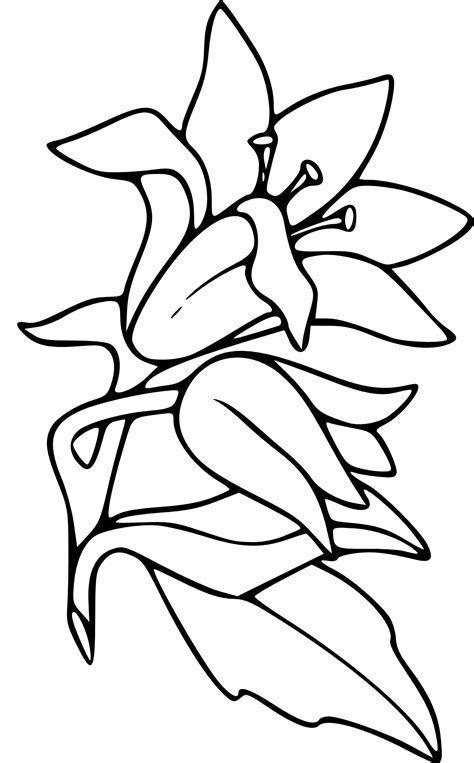 Coloriage Fleur De Lys à Imprimer