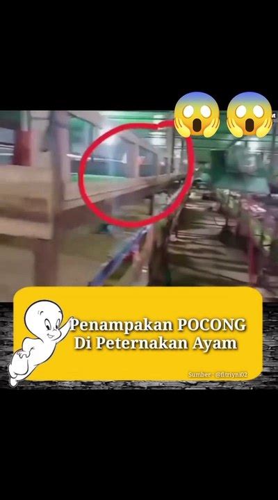 Pen Mpakan H Ror Terlihat Jelas Penampakan Pocong Di Dalam