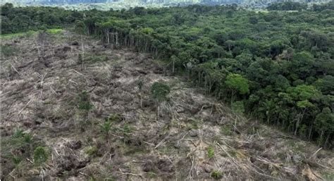 Mudan As Clim Ticas O Que S O Causas E Efeitos Para O Planeta