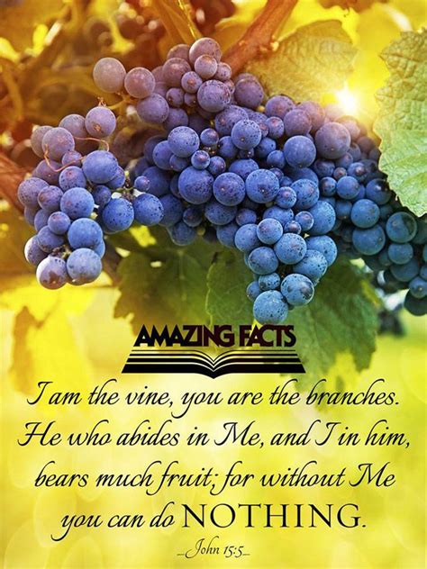 196 Best John 151 5 Esv I Am The True Vine Images On Pinterest