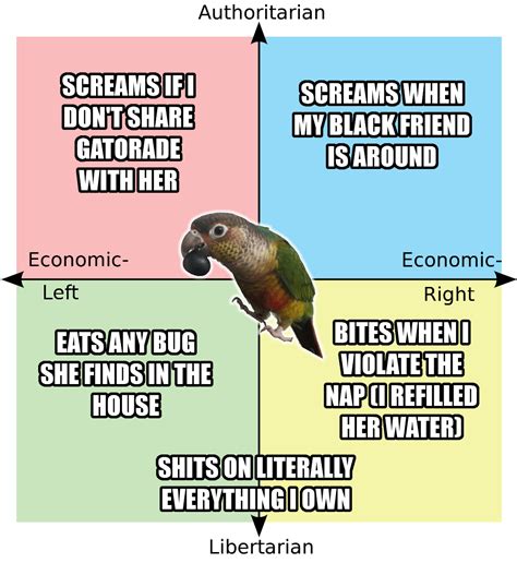 Each Quadrants Favorite Rifle R Politicalcompassmemes