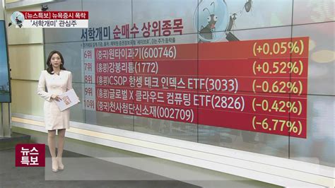 서학개미 뭐샀나 서학개미 순매수 1위중국 Csi 300 지수 추종 Etf