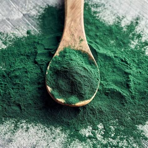 spirulina na cosmetica beneficios   pele  produtos inovadores