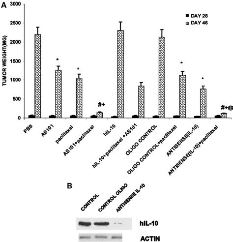 AS101 Sensitizes GBM Tumors To Paclitaxel Via Inhibition Of IL 10