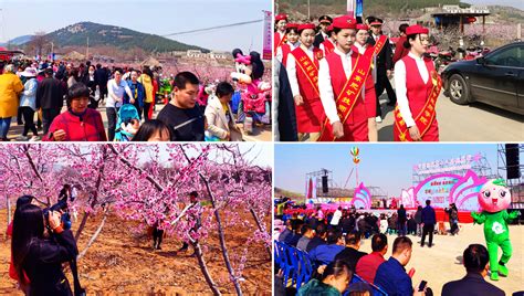 桃花盛开君子邑 幸福追梦醉桃源：中国肥城第18届桃花节开幕肥城桃花节追梦新浪新闻