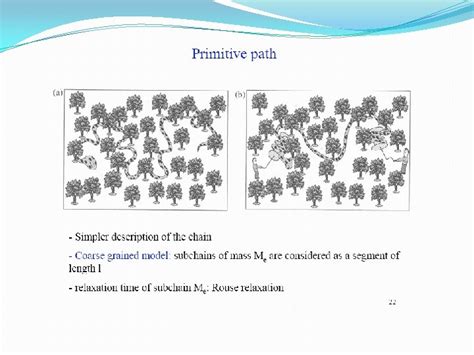 Polymer Dynamic The de Gennes Reptation Theory While