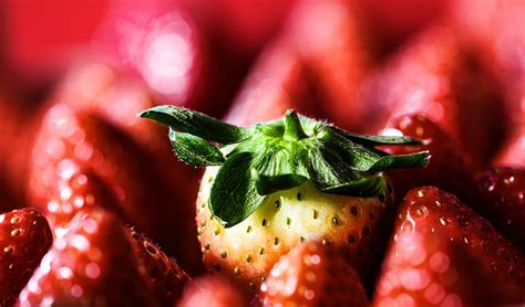 Fruit Strawberries Organic Free Photo On Pixabay Pixabay