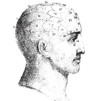 Hard Wired Sex Differences Basically Meaningless