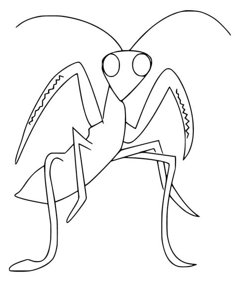 Praying Mantis Coloring Pages - Free Printable Coloring Pages for Kids