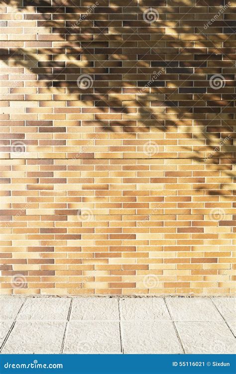 Bricks Wall With Tree Shadow And Gray Sidewalk Stock Image Image Of