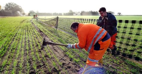 hoyte24 Nachrichtenportal für Hoyerswerda Der Winter kommt