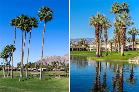 palm springs  palm desert  vacation