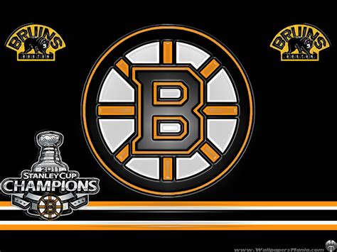 🔥 [60+] Boston Bruins Phone Wallpapers | WallpaperSafari