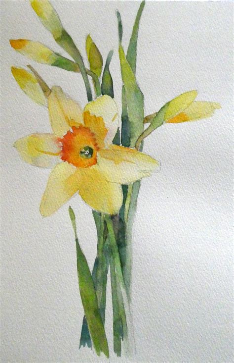 Lauras Watercolors Daffodils 2 Flower Art Painting Floral