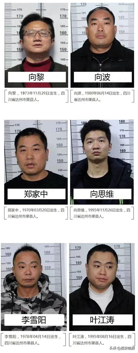 一违法犯罪团伙被打掉！头目之一曾是外国语学校校长→ 向黎 渠县 碧瑶