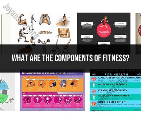 Exploring The Components Of Fitness A Comprehensive Overview