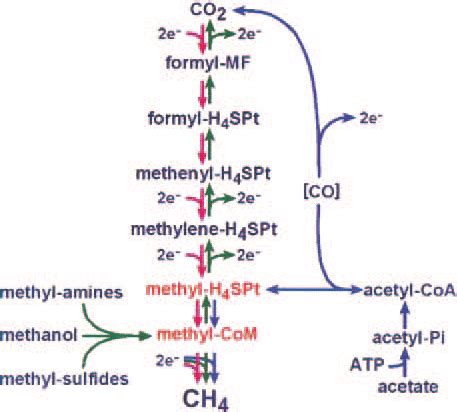 Methanogenesis