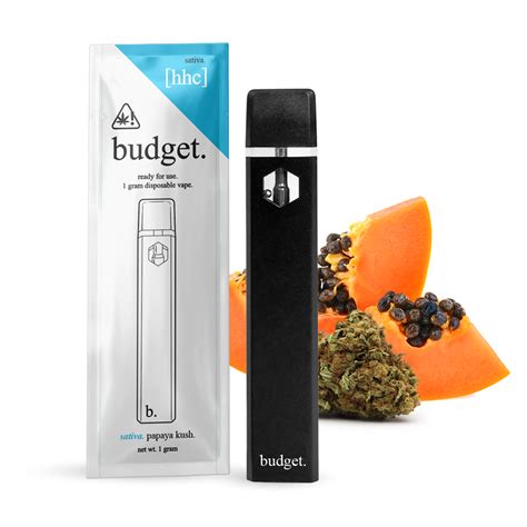 Budget 1 Gram Hhc Disposable Vape