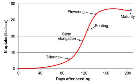 CDFA FREP CA Fertilization Guidelines Wheat Nitrogen Uptake And