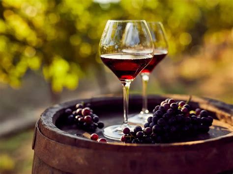 How To Make Fruit Wine At Home Beginner’s Guide To Make Fruit Wine At Home