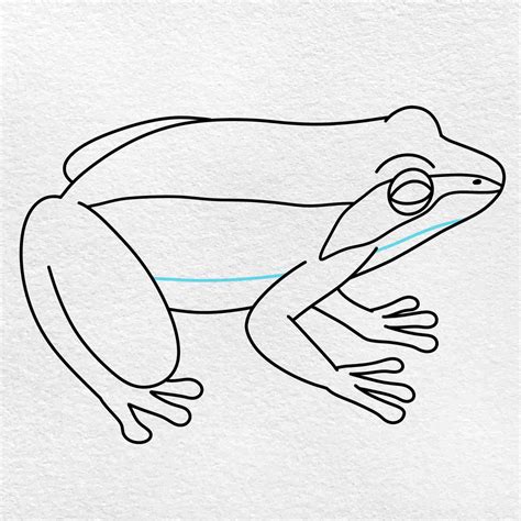 How to Draw a Wood Frog - HelloArtsy