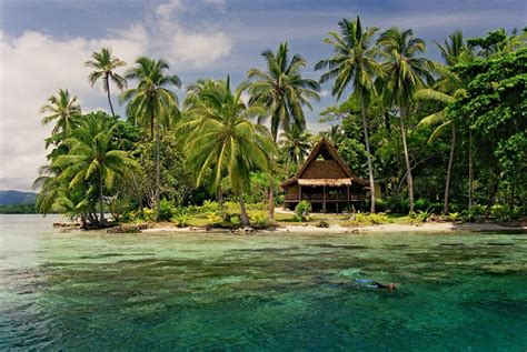 Uepi Island Resort Reef And Rainforest