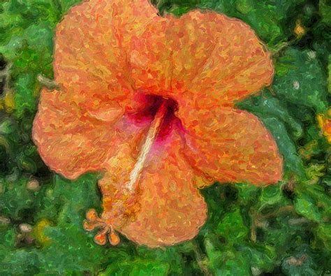 Hibiscus Van Gogh Digital Art By Sandra Selle Rodriguez Pixels