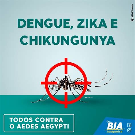 O Combate Ao Mosquito Da Dengue