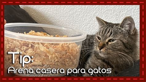 Arena Ecol Gica Para Gatos Hazla T Mismo Y Ahorra Dinero Youtube