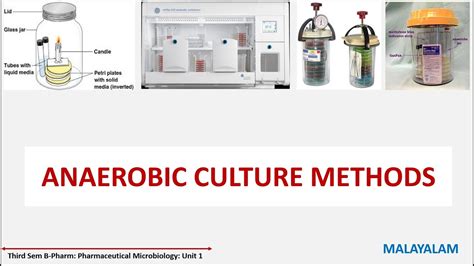 Bacterial Culture Method Part 2 Anaerobic Culture Methods