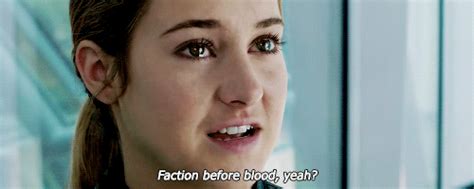 Faction Before Blood Divergent World