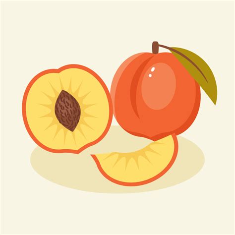 How to Create a Peach Illustration in Adobe Illustrator | Envato Tuts+