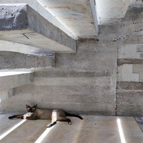 what to do when boring at home 11