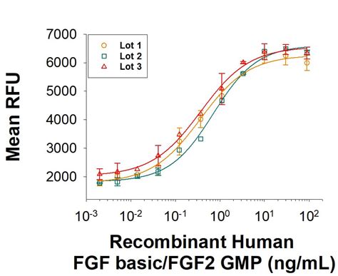 Recombinant Human Fgf Basic Fgf Aa Gmp Protein Cf Gmp