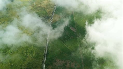 Aerial view beautiful rice paddy field over the white cloud in morning ...