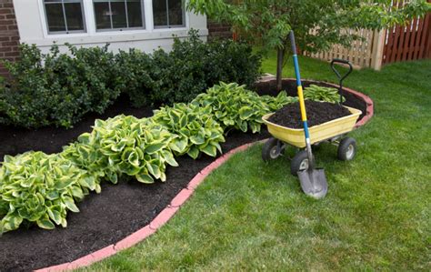 Using Mulch Properly In Landscapes Merrifield Garden Center