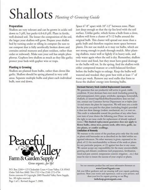 Shallots - Planting & Growing Guide (PVFS) - The Plant Lady